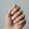 Blushy - (Sheer) Limited Edition - Tuesday in Love