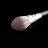 Face Brush Set - Tuesday in Love