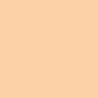D36 Stunner - Tuesday in Love Halal Liquid Foundation